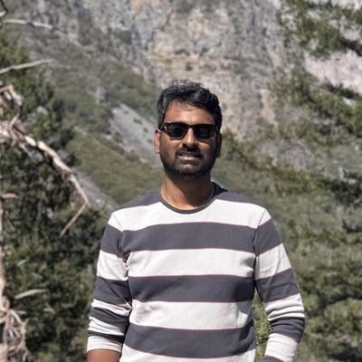 Krishna Prasad M